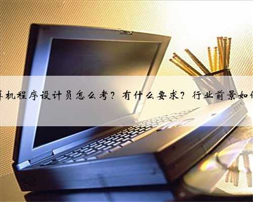 计算机程序设计员怎么考？有什么要求？行业前景如何？