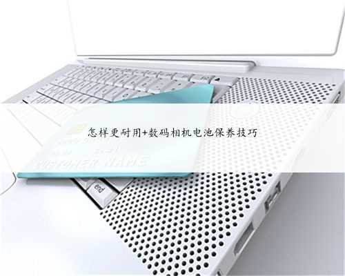 怎样更耐用 数码相机电池保养技巧