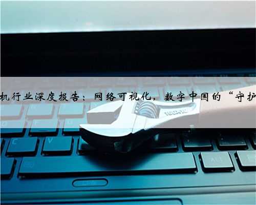 计算机行业深度报告：网络可视化，数字中国的“守护者”