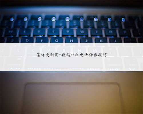 怎样更耐用 数码相机电池保养技巧