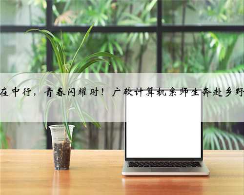 扎根在中行，青春闪耀时！广软计算机系师生奔赴乡野沃土