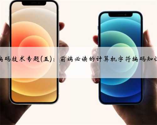 字符编码技术专题(五)：前端必读的计算机字符编码知识入门