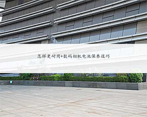 怎样更耐用 数码相机电池保养技巧