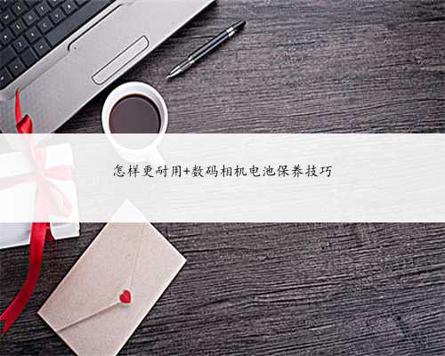 怎样更耐用 数码相机电池保养技巧