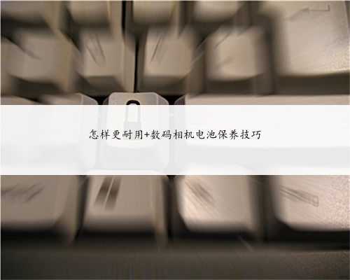 怎样更耐用 数码相机电池保养技巧
