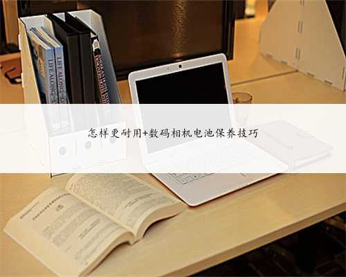 怎样更耐用 数码相机电池保养技巧