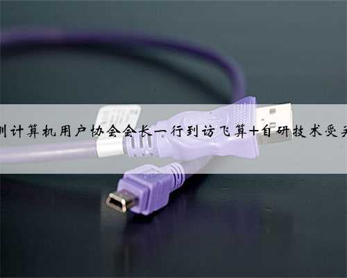 深圳计算机用户协会会长一行到访飞算 自研技术受关注